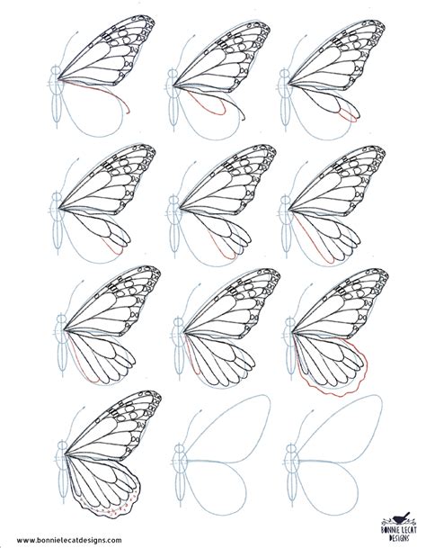 butterfly wings drawing|realistic butterfly drawing step by.